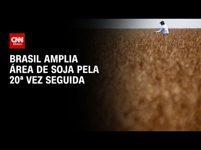 Brasil amplia área de soja pela 20ª vez seguida na safra 2026/27 | CNN AGRO NEWS
