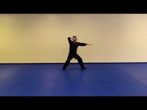 Vision Martial Arts: Chung Mu