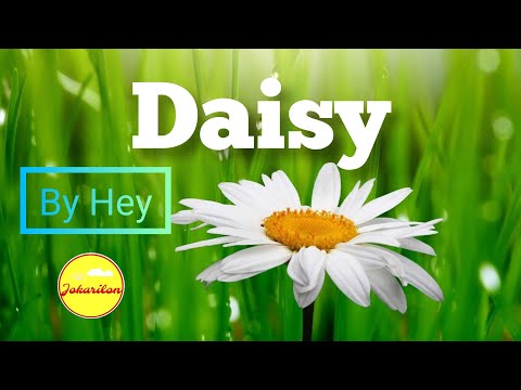 Daisy - Hey