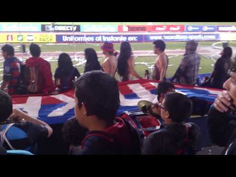 "Amar a la AKDmía es cosa de loQos" Barra: Mafia Azul Grana &bull; Club: Deportivo Quito