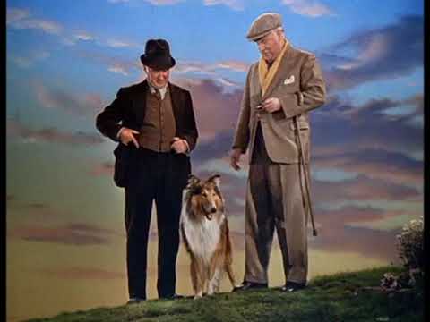 afbeelding Son of Lassie 1945 Trailer