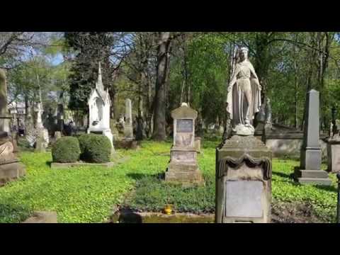 Stary Cmentarz w Rzeszowie