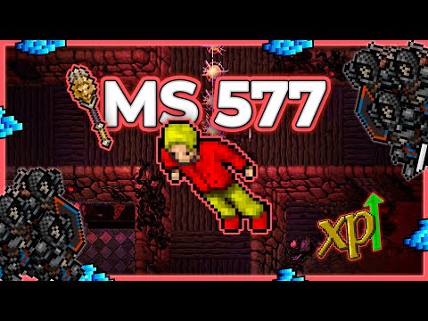 MS 577 Hunt Solo Falcon Bastion 2.8kk/h Raw + 800k Profit - Tibia Hunt [12.91] #tibia #tibiahunt