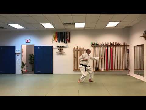 Pinan Shodan