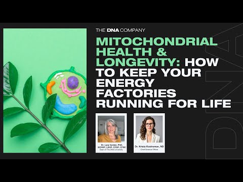 Mitochondrial Health & Longevity How to Keep Your Energy Factories Running for Life