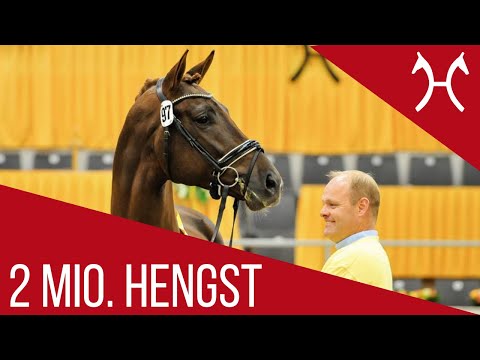 2,01 Millionen Hengst Preisspitze | Vivaldi x Dancier | Hannoveraner Hengstmarkt | 2018