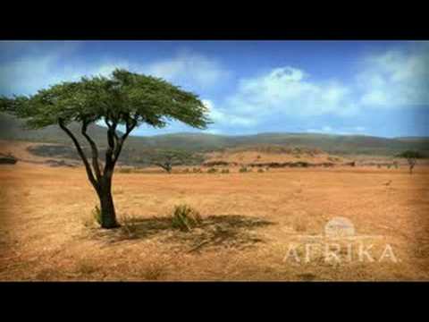 Afrika *Newest Trailer*