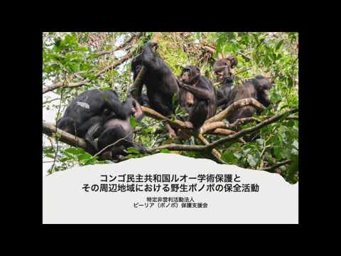 ソヴァージュ動物保護区 - 定義