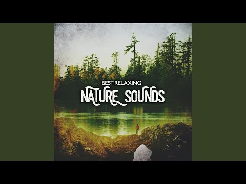 Weather Storm Heavy Rain Drops