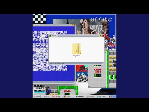 PET SCHUIN/NMP (Remix)