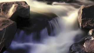 There Is Nothing Wrong With You with Robin Rice