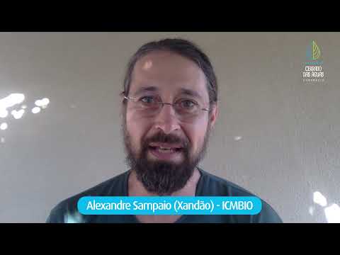 Curso EAD: Formação de Coletores de Sementes para a Restauração do Cerrado
