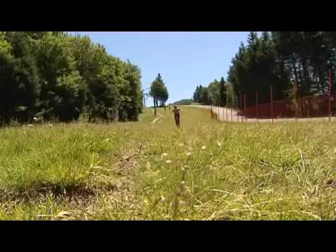 Page été - découverte de la Planche des belles Filles