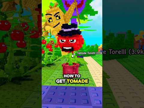 HOW TO GET TOMADE TORELLI in Plants vs Brainrots🍅#roblox #plantsvsbrainrots
