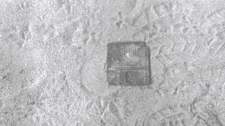 Muslimgauze Lost Iranian Tourist