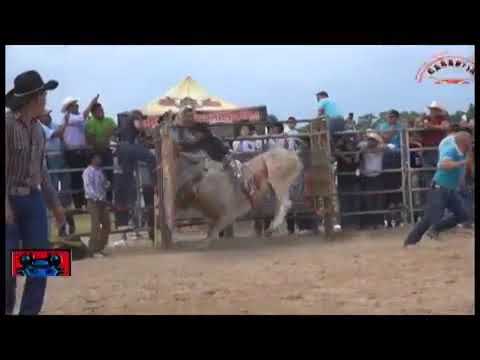 Fuera de seri vs fantástico