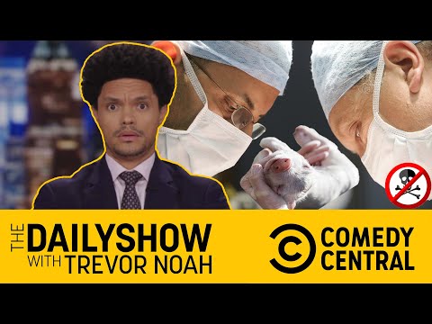 Pig revivals 🐖 | The Daily Show | Comedy Central Africa