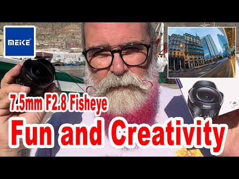 Video thumbnail for Video Review 2