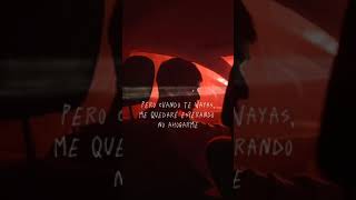 Sia - Born Yesterday