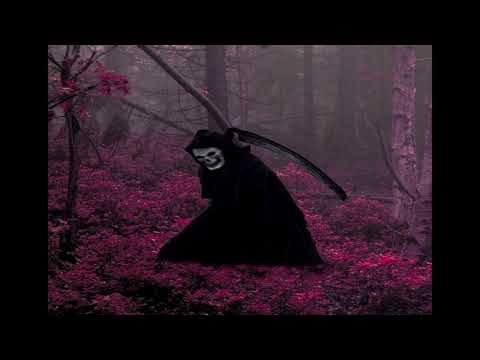 [FREE] playboi carti x summrs x trippie redd type beat 2020. "rosepetal shawty"