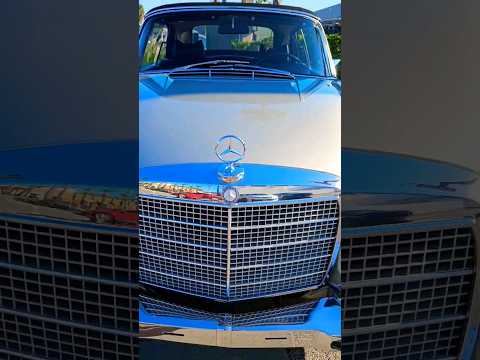 Thumbnail for 🚔💰 "The Hangover Car" Mercedes-Benz 😱🍻 | #fullswingtv by Mercedes-Benz W108/W109, Mercedes-Benz W108, Mercedes-Benz W10, Mercedes-Benz, Car, Vehicle