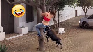 Try Not To Laugh 🤣 Top 100 Funniest Videos Ever 🎬🔥 Memes, Epic Fails & Pranks Compilation Part 17