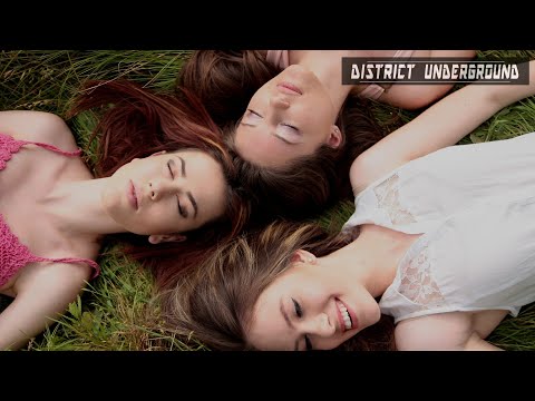 Alan Fitzpatrick  - Reflections Petar Dundov Remix