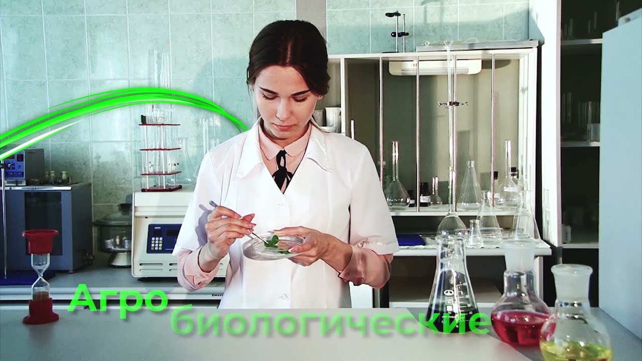 Giới thiệu - 2021