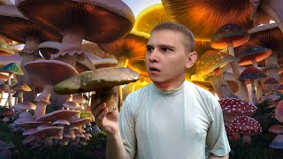 Пошёл по грибы - Mushrooms Forest Walker