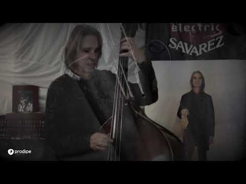 Микрофон инструментальный Prodipe BL21 (для контрабаса)