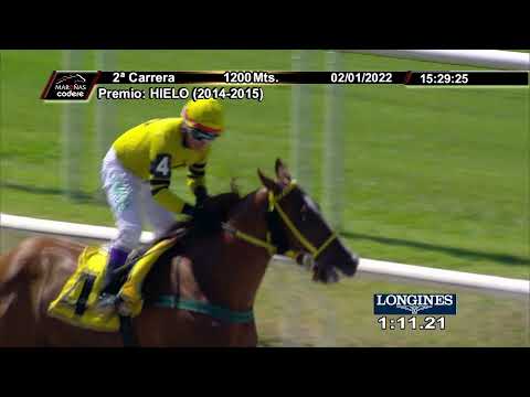 220102 c02 FORTINERO