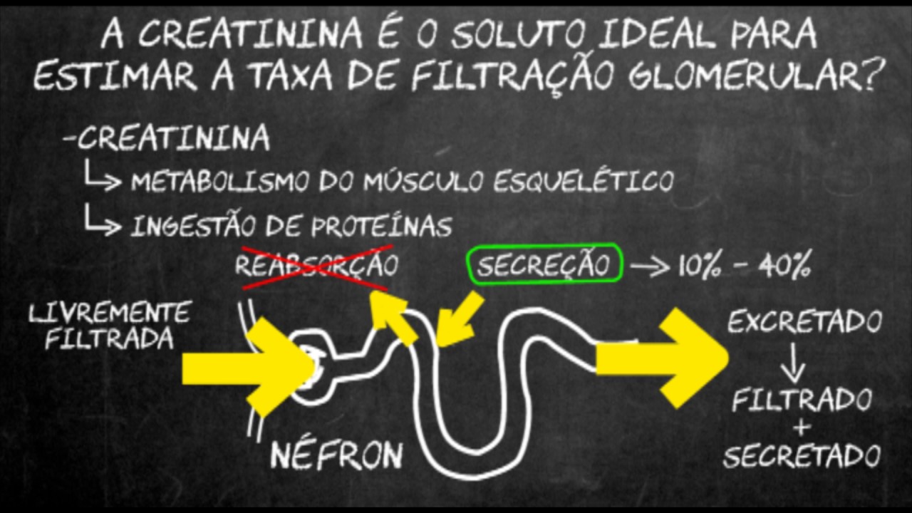 Por quê usamos a creatinina para calcular a função renal?