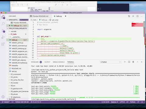 Tiny Python Projects Ch 1 Pt 10 Formatting Code