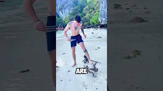 Download lagu These Monkeys Attacked a Tourist in Thailand! 😱 mp3