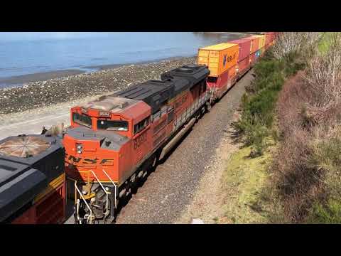 BNSF mty colorful container train SB at Carkeek Park on 30 Mar 2021