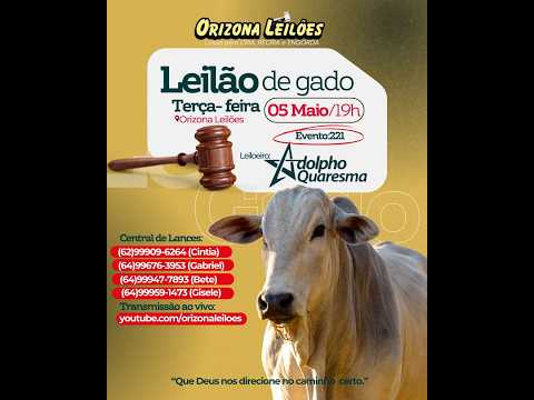 Orizona Leilões - 05/05/2026 I Leilão ao Vivo - Leilão em Goiás