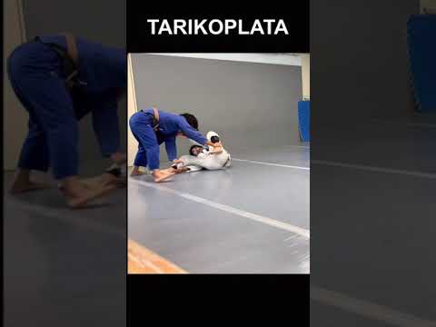 タリコプラッタ | TARIKO PLATA | スパーリング
