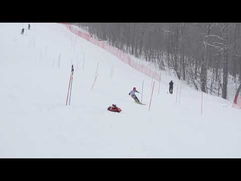 190118 Pico SL R1 BT