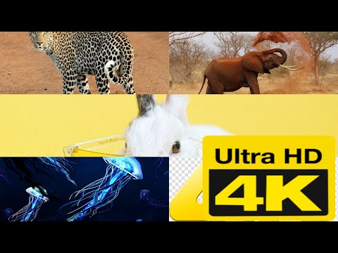 sweet Nature & ultra HD 4k