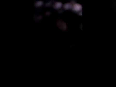 Vrijeme mi je da se ženim - Dragutin Đerđ i Crni orlovi