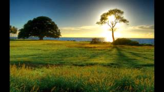 Video Whirlpool de Barrie Gledden