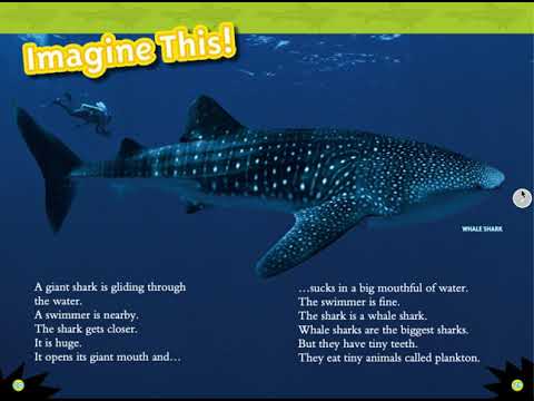 Sharks! by Anne Schreiber Sharks! by Anne Schreiber
