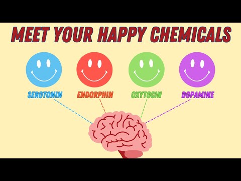 How to Boost Your HAPPINESS HORMONES (Serotonin, Endorphin, Oxytocin, Dopamine)