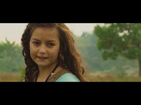 afbeelding Halvdan Viking