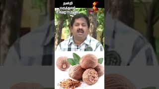 Download lagu Jathikai | Dr Sivaraman | Kavi Online mp3 Download lagu Jathikai | Dr Sivaraman | Kavi Online mp3