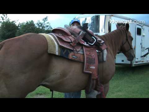 How to Saddle a Horse Western Style