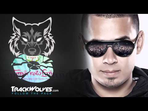 Afrojack - Live @ Tomorrowland 2013 (Belgium) - 27.07.2013