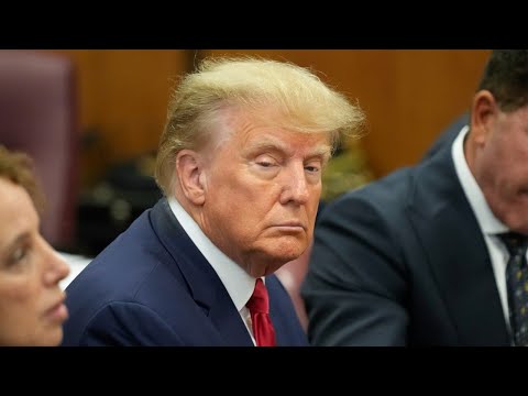 ‘Very decent chance’ Donald Trump will go to jail: Megyn Kelly