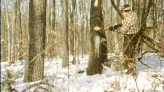 Return of the Wild Turkey  (1970)