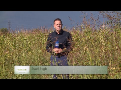 'KRAJIŠKA ZEMLJA' RTV USK, 10.09.2023.